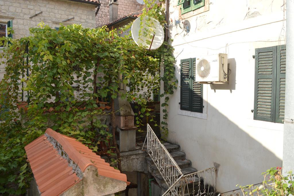 Apartments Leo Kotor Quarto foto